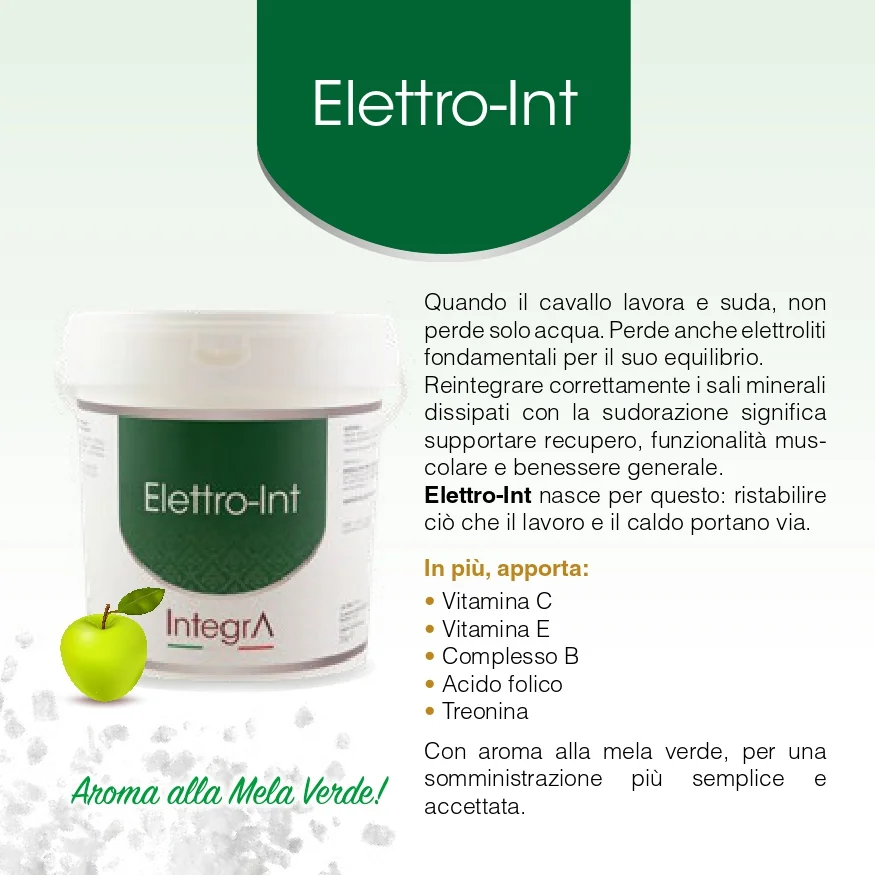 Elettro-Int — confezione e descrizione