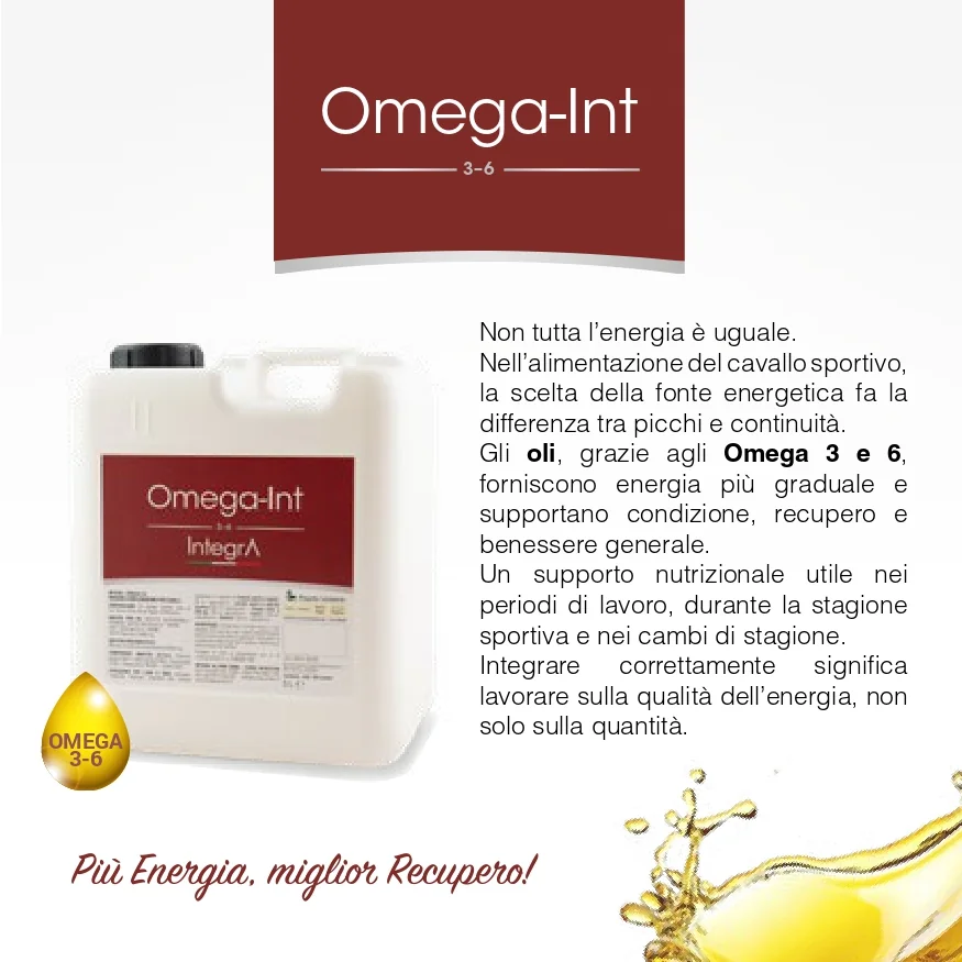 Omega-Int — confezione e descrizione